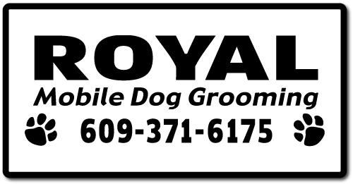 20" x 40" X-Large Car Magnet, .30 Mil