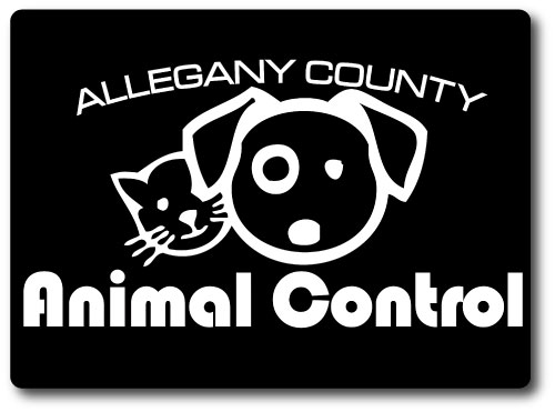 16" x 22" Large Car Magnet, .30 Mil